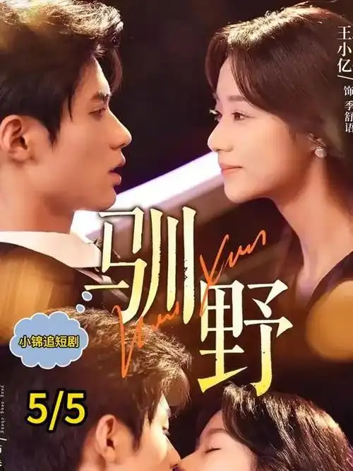 二十六度 都市职场剧全集手机在线观看